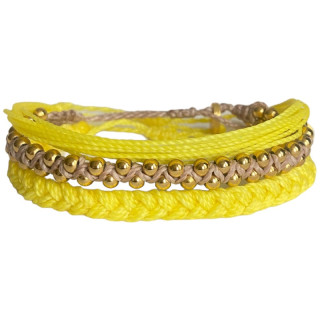 Pack Girasol Amarillo